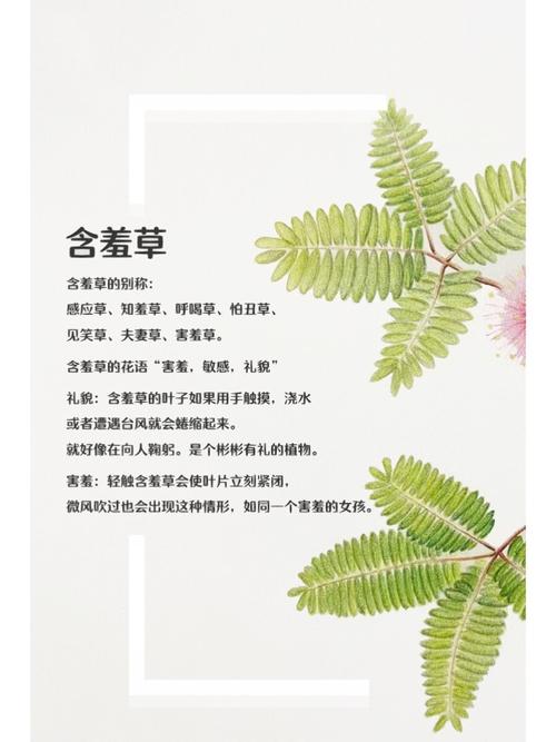酷猫影院在线观看 - 最新热播剧免费追剧平台，高清无广告观影体验