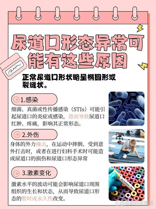 国产欧美人妻中文在线的相关介绍