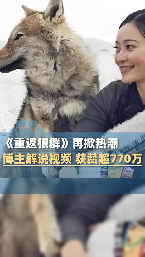 寡妇影院 - 深夜独处必看 | 寡妇情感故事 | 高分催泪电影推荐