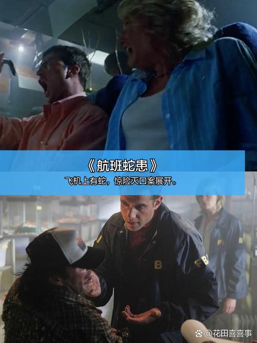 欧美人妻啪啪啪啪的相关介绍