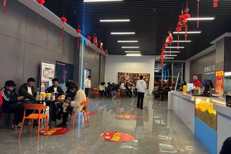 老湿新影院2025新版免费观影指南，畅享高清无广告影视资源