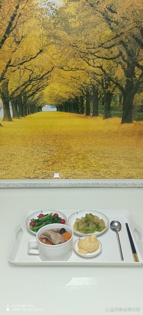 欧美人妻综合在线的相关介绍