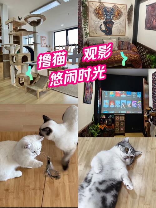 精油按摩日本AV体验：沉浸式舒缓放松技巧与长尾关键词推荐