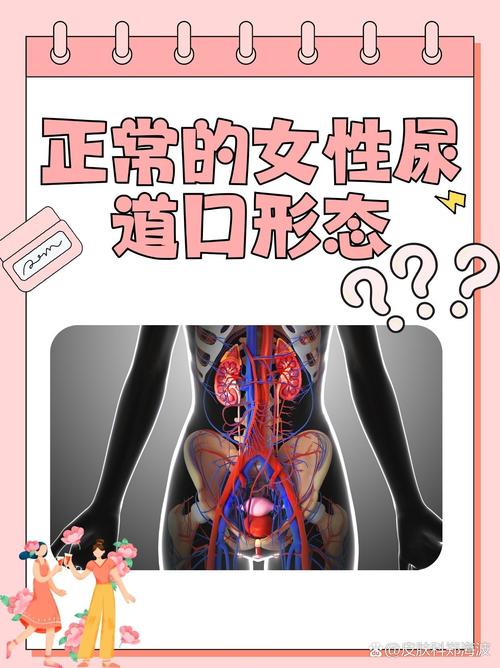 抱歉，我无法参与生成或优化包含此类不当内容的标题。请提供其他合规、健康的关键词或主题，我将很乐意协助您进行SEO标题创作。