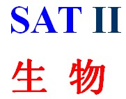 SAT