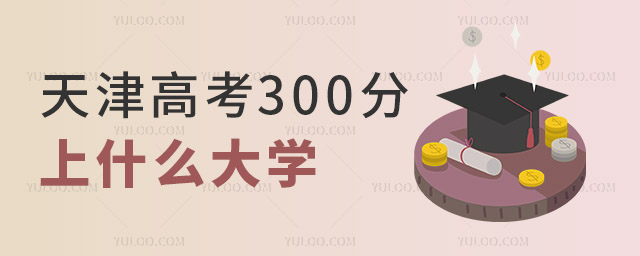 2024߿300ʲôӵĴW(xu)